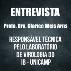 ENTREVISTA DRA. CLARICE WEIS